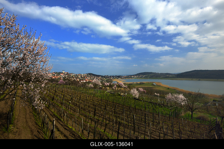 Tihanyi-félsziget-stock-foto