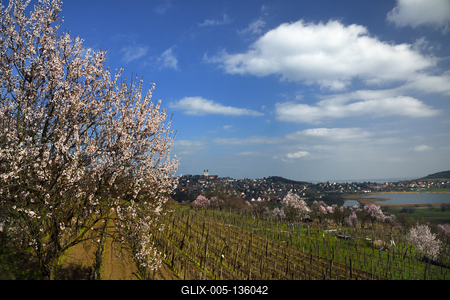 Tihanyi-félsziget-stock-foto