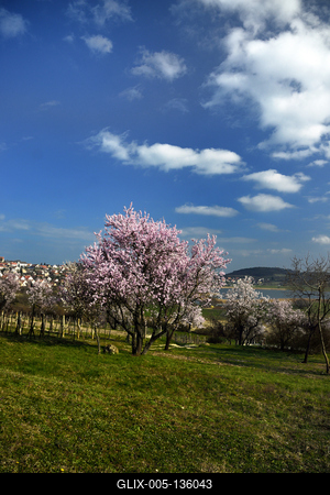 Tihanyi-félsziget-stock-foto