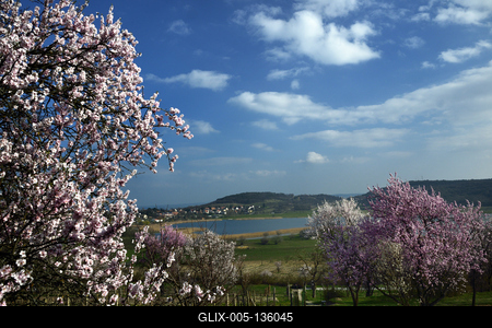 Tihanyi-félsziget-stock-foto