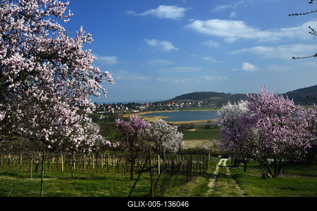 Tihanyi-félsziget-stock-foto