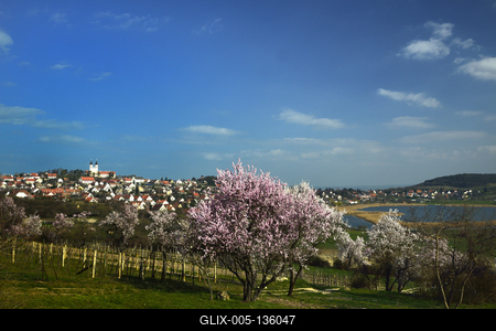 Tihanyi-félsziget-stock-foto