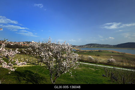 Tihanyi-félsziget-stock-foto