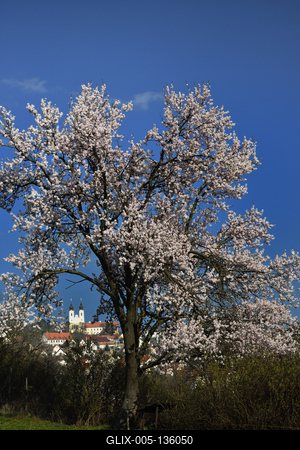 Tihanyi-félsziget-stock-foto