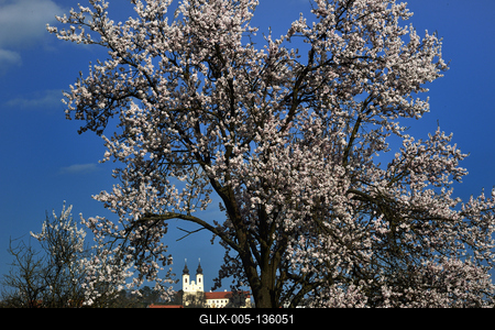 Tihanyi-félsziget-stock-foto