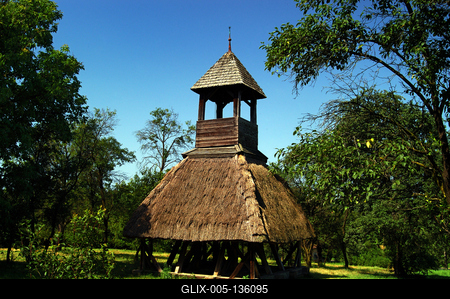 Pankasz, Szoknyás harangláb-stock-foto