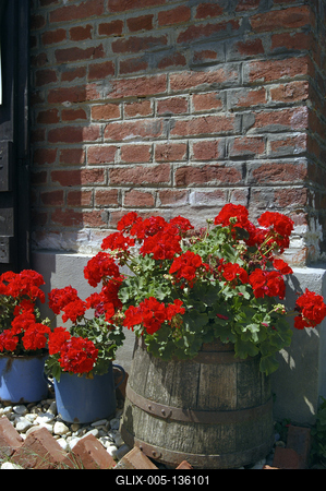 Szalafő - Pityerszer-stock-foto