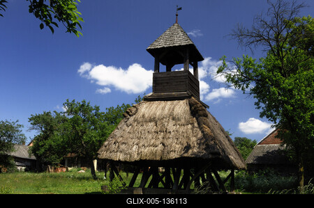 Pankasz, Szoknyás harangláb-stock-foto