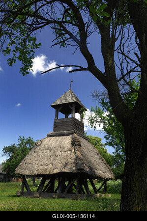 Pankasz, Szoknyás harangláb-stock-foto