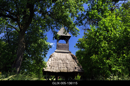 Pankasz, Szoknyás harangláb-stock-foto