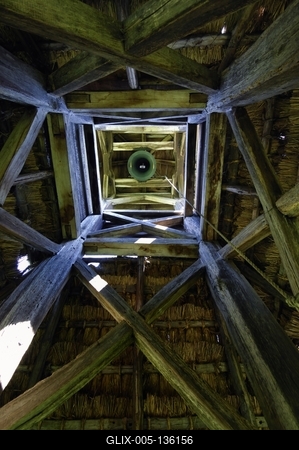 Pankasz, Szoknyás harangláb-stock-foto