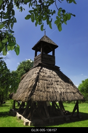 Pankasz, Szoknyás harangláb-stock-foto