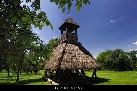 Pankasz, Szoknyás harangláb-stock-foto