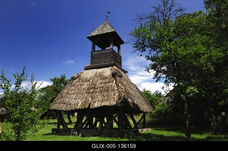 Pankasz, Szoknyás harangláb-stock-foto