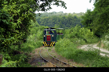 Kisvasút a Gemenci erdőben-stock-foto