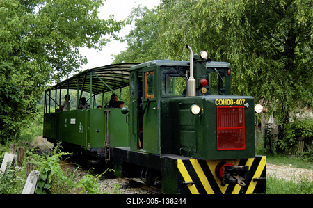 Kisvasút a Gemenci erdőben-stock-foto