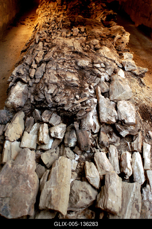 Ipolytarnóc, ősfenyő maradvány-stock-foto