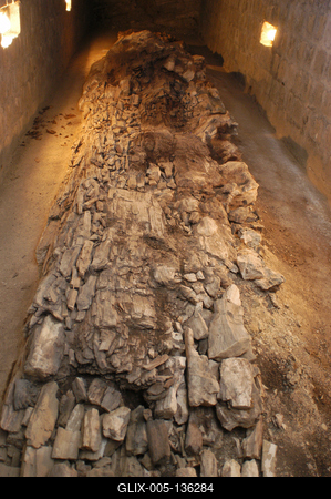 Ipolytarnóc, ősfenyő maradvány-stock-foto