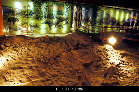 Ipolytarnóc, ősállati lábnyomok-stock-foto