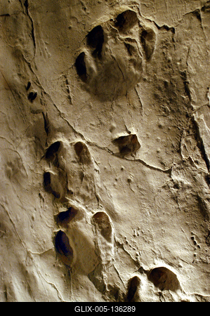 Ipolytarnóc, ősállati lábnyomok-stock-foto