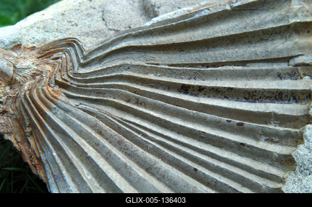 Ipolytarnóc, Geológiai tanösvény-stock-foto