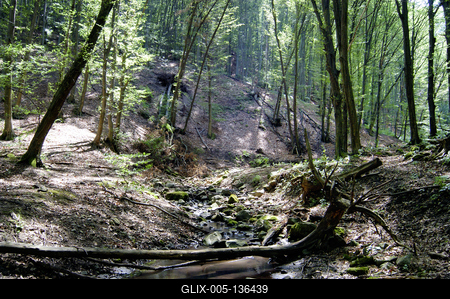 Dömös, Rám-szakadék-stock-foto