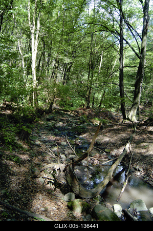 Dömös, Rám-szakadék-stock-foto