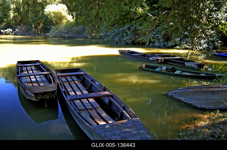 Tát, holtág a Dunán-stock-foto