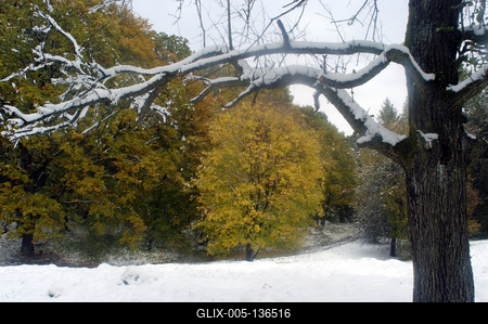 Eresztvény tanösvény-stock-foto
