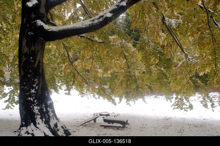 Eresztvény tanösvény-stock-foto