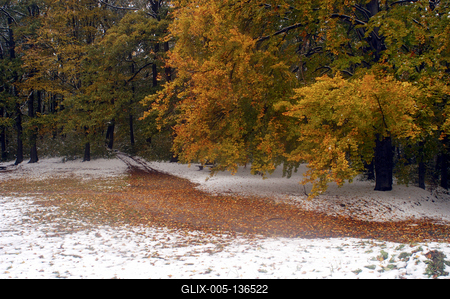 Eresztvény tanösvény-stock-foto