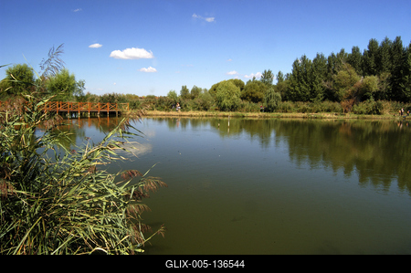 Péteri Horgásztó és Pihenőpark-stock-foto
