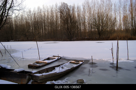 Téli táj a Gemenci erdőben-stock-foto