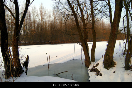 Téli táj a Gemenci erdőben-stock-foto