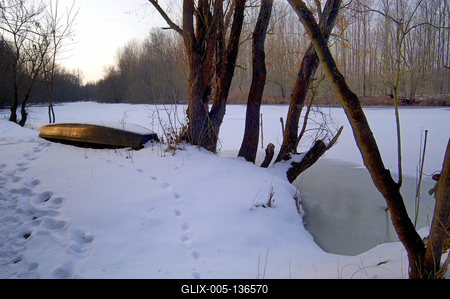 Téli táj a Gemenci erdőben-stock-foto