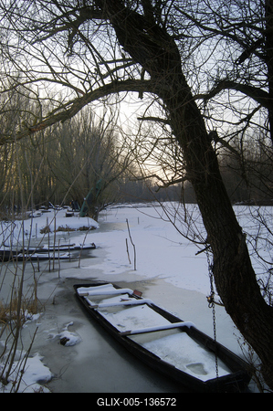 Téli táj a Gemenci erdőben-stock-foto