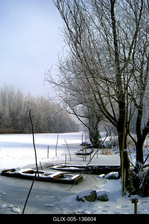 Téli táj a Gemenci erdőben-stock-foto