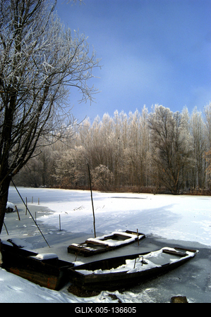 Téli táj a Gemenci erdőben-stock-foto