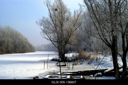 Téli táj a Gemenci erdőben-stock-foto