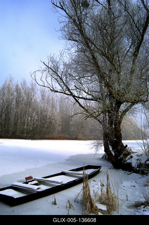 Téli táj a Gemenci erdőben-stock-foto