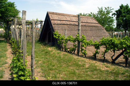 Ócsa, Öreghegyi Pincesor-stock-foto