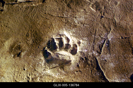 Ipolytarnóc, ősállati lábnyomok-stock-foto