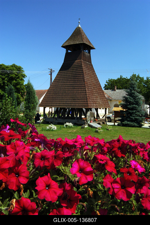 Nemesnép, szoknyás harangláb-stock-foto