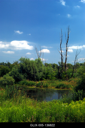 A Kis-Balaton látképe Zalaváron-stock-foto