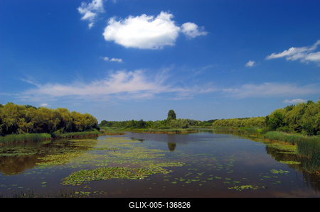 A Kis-Balaton látképe Zalaváron-stock-foto