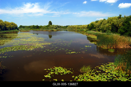 A Kis-Balaton látképe Zalaváron-stock-foto