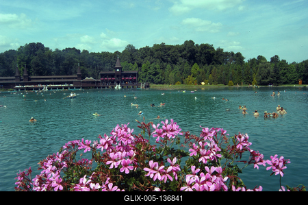 Hévízi Tófürdő-stock-foto