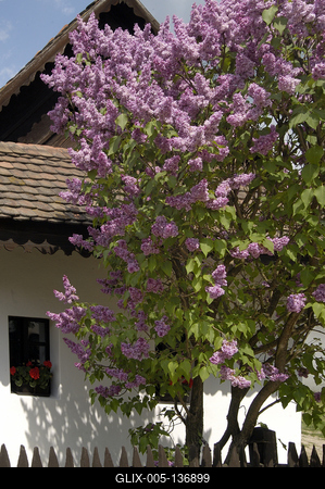 Hollókő, Ófalu védett falurész-stock-foto