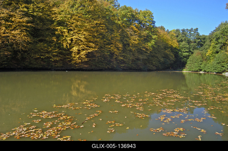 Királyréti horgásztó-stock-foto