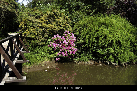 Szombathely, Kámoni Arborétum-stock-foto